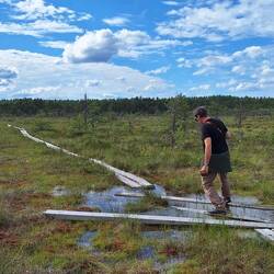 Moorwanderung im Valkmusan Nationalpark, Finnland