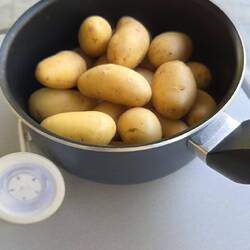 Tolle Pfanne mit Bratkartoffeln