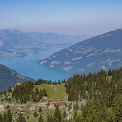 ... mit Blick auf den Thunersee