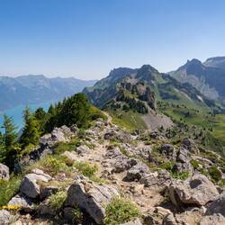 Brienzersee mit Wanderweg am Grad entlang 🤩