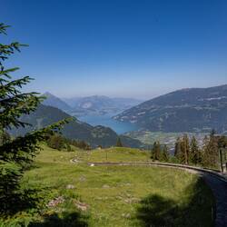 Thunersee im Hintergrund