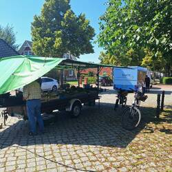 Markt Lilienthal mit Gemüse und Fisch