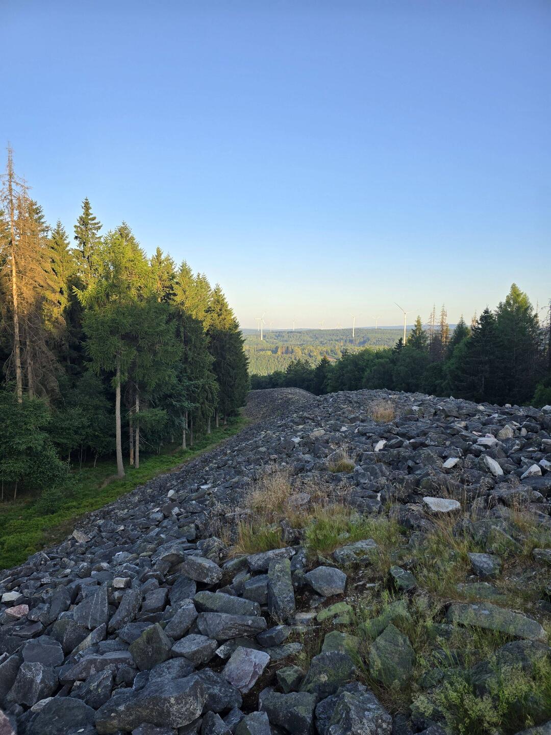 Der keltische Ringwall