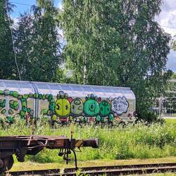 Auf dem Waggon steht: Green Revolution the only solution!