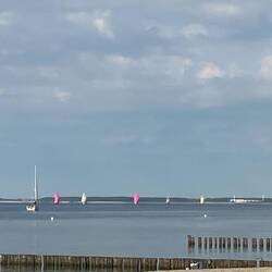 Regatta II