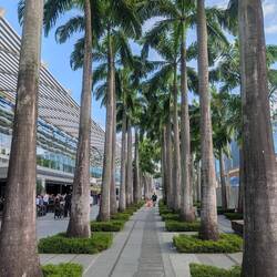 The second and final stop was the Marina Bay Sands waterfront