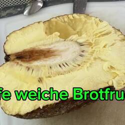 Brotfrucht Dessert.