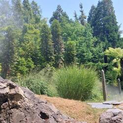 Voll genial auch der Urwald!