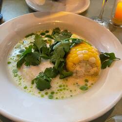 Fish in coconut broth with cilantro. Delicate dish. Cilantro not overwhelming