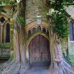 The Yew Tree Door