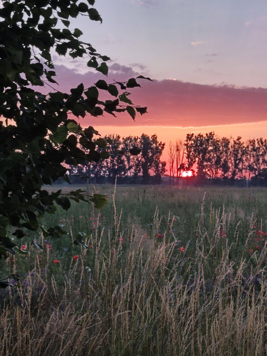 Start bei schönstem Sonnenaufgang