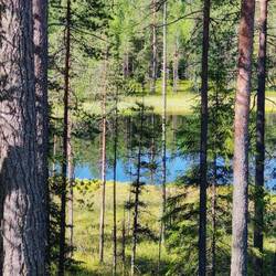 So abwechslungsreiche Wälder überall 🤗