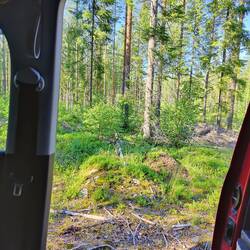 Mittagspause im Wald