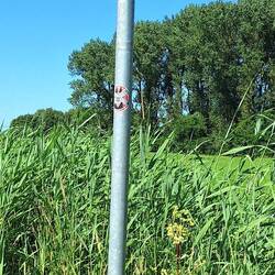 Das Schild passt heute ganz besonders gut!