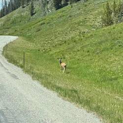 🤔 Should I cross?