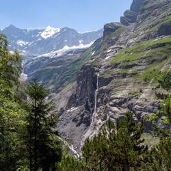 Schreckhorngletscher im Hintergrund