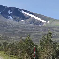 hier liegt noch Schnee