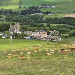 Destillerie und Dorf Glenlivet