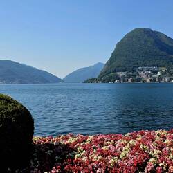Parco Ciani, Lugano