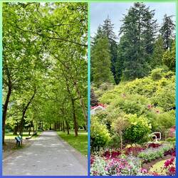 Stanley Park