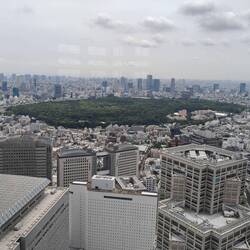 Government building observatory - tokyo