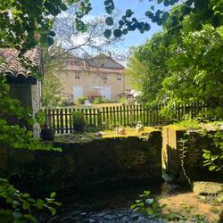 Balade au long des jardins le long de la rivière Argentor