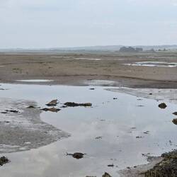 A lone curlew to see me start