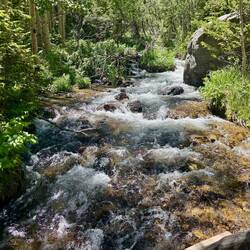 Tyndall Creek