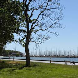 Blick auf die Marina