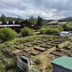 Community Garden