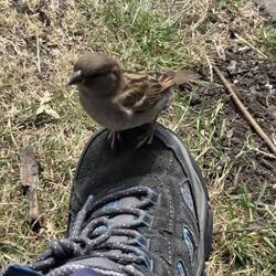 Sitting eating my ice cream and had a visitor