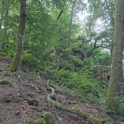 Felsen