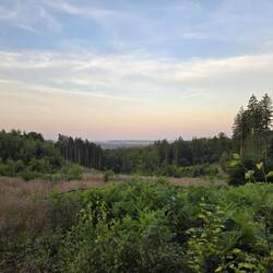 Der Grenzweg