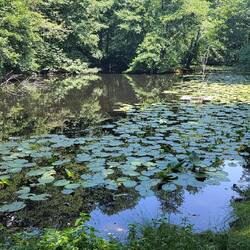 Schloßweiher