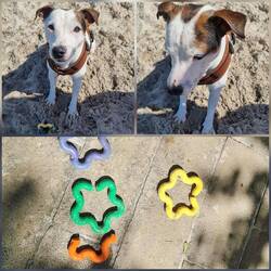 Das war dann der Ball 🫣