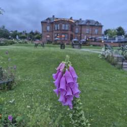 The Douglas Hotel