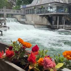 Leland River in Fishtown