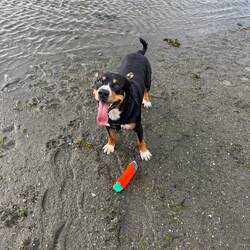 An irgendeinem Strand
