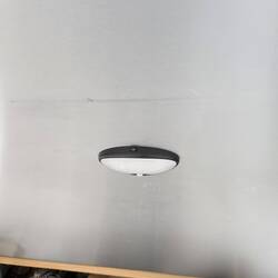 Back hatch light