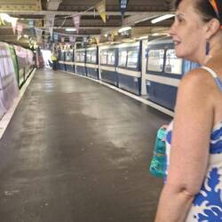 It was TOO hot to walk - we took the train