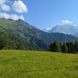 Glocknerblick