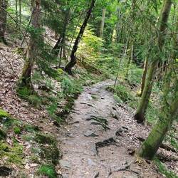 Schöne Wege