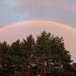 Nach dem Regen..