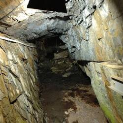 Fledermaushöhle