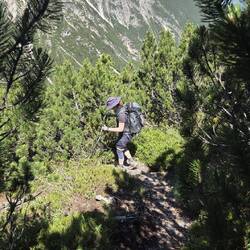 Abstieg durch Latschenwald