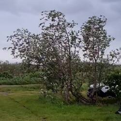 Mit viel Wind