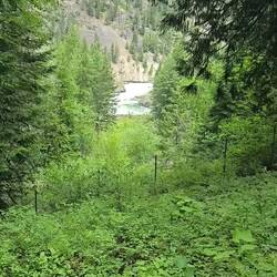 Kootenai falls