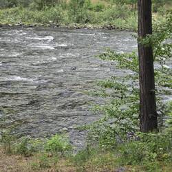 The Yaak River by our campsite.