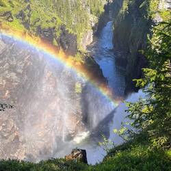 "Den Schatz findest du am Ende des Regenbogens" - nur wie komme ich da runter?