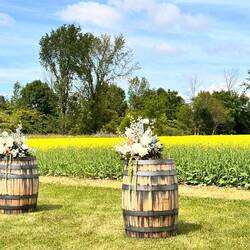 Rapsfeld für die Hochzeit in voller Farbenprach👌